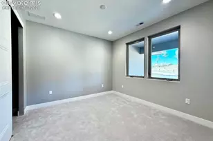 3145 Promise Pt, Colorado Springs, CO 80921 - Photo 22