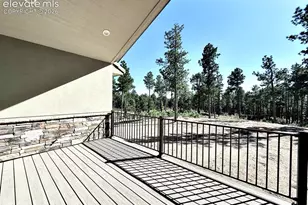 3145 Promise Pt, Colorado Springs, CO 80921 - Photo 24