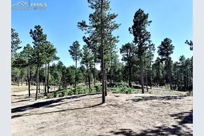 3145 Promise Point, Colorado Springs, CO 80921 - Photo 20