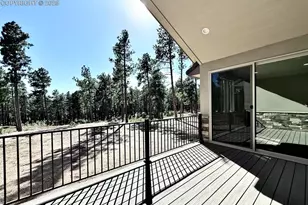 3145 Promise Pt, Colorado Springs, CO 80921 - Photo 12