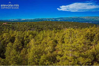 Lot 3 County Road 634.2, Gardner, CO 81040 - Photo 8