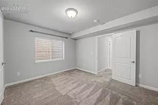 4443 Hessite Loop, Colorado Springs, CO 80938 - Photo 22