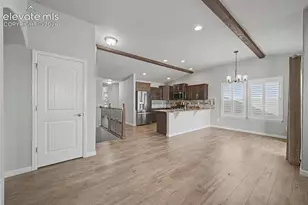 4443 Hessite Loop, Colorado Springs, CO 80938 - Photo 8