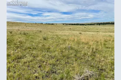 31963 Cattle Circle, Ramah, CO 80832 - Photo 10