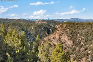 111 Blue Spruce Rd, Divide, CO 80814 - Photo 40