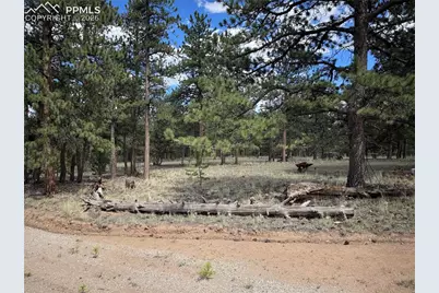 3948 S Muley Gulch Drive, Hartsel, CO 80449 - Photo 18