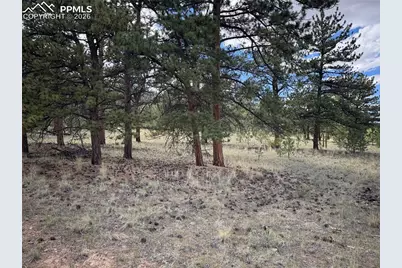 3948 S Muley Gulch Drive, Hartsel, CO 80449 - Photo 16