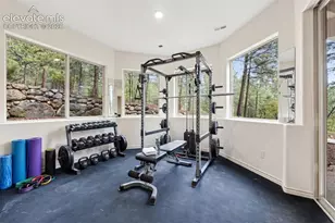 715 Silver Oak Grove, Colorado Springs, CO 80906 - Photo 38
