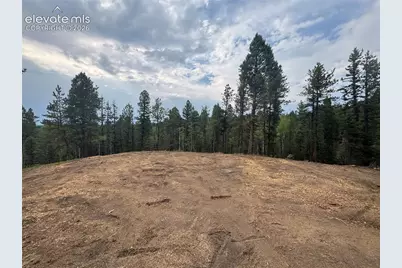 111 Elk Creek Drive, Divide, CO 80814 - Photo 6