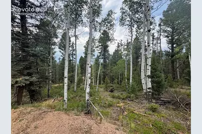 111 Elk Creek Drive, Divide, CO 80814 - Photo 2