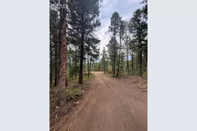 111 Elk Creek Drive, Divide, CO 80814 - Photo 4