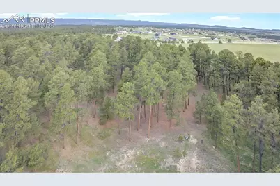 3930 Serenity Place, Colorado Springs, CO 80908 - Photo 2