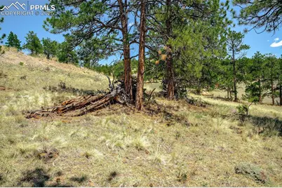 56 Dallas Park Circle, Florissant, CO 80816 - Photo 22