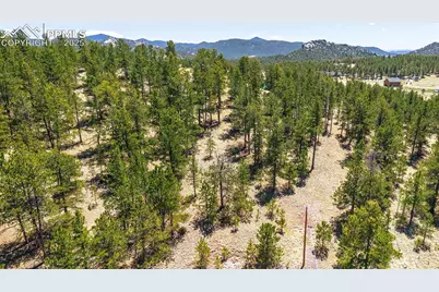 56 Dallas Park Circle, Florissant, CO 80816 - Photo 1