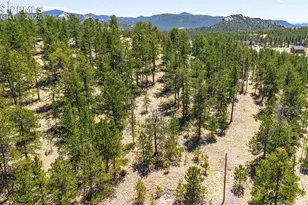 56 Dallas Park Cir, Florissant, CO 80816 - Photo 1