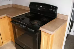 636 Cima Vista Point, Colorado Springs, CO 80916 - Photo 28