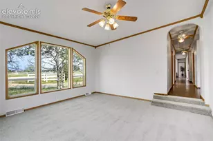 7335 Chelsey Way, Peyton, CO 80831 - Photo 36