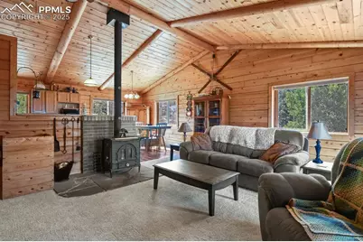 4269 County Road 51, Divide, CO 80814 - Photo 16