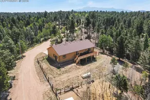 4269 Co Rd 51, Divide, CO 80814 - Photo 2