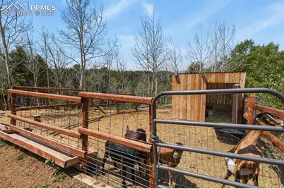 4269 County Road 51, Divide, CO 80814 - Photo 8
