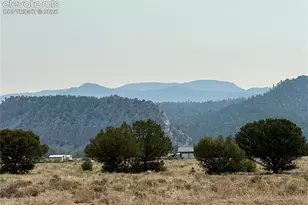 10795 Co Rd 197A, Nathrop, CO 81236 - Photo 10