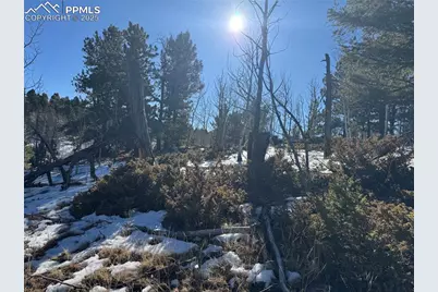 91 Hidden Valley Drive, Florissant, CO 80816 - Photo 20