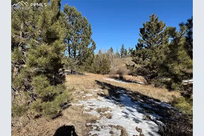 91 Hidden Valley Drive, Florissant, CO 80816 - Photo 4