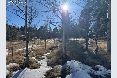 91 Hidden Valley Drive, Florissant, CO 80816 - Photo 24