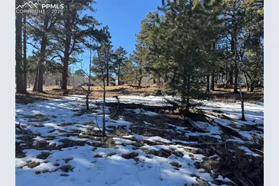 91 Hidden Valley Drive, Florissant, CO 80816 - Photo 14