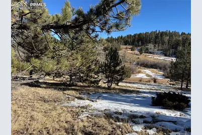 91 Hidden Valley Drive, Florissant, CO 80816 - Photo 18