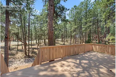 16071 Wildhaven Lane, Colorado Springs, CO 80921 - Photo 42