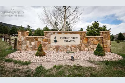 374 Hoover Lane, Palmer Lake, CO 80133 - Photo 50