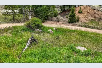 830 Pinon Lane, Florissant, CO 80816 - Photo 16