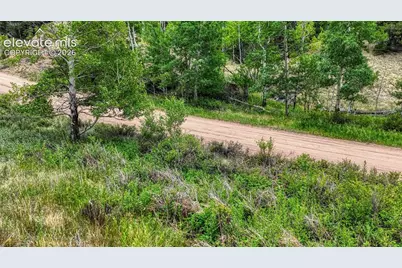 830 Pinon Lane, Florissant, CO 80816 - Photo 12