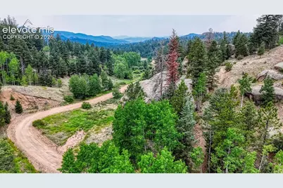 830 Pinon Lane, Florissant, CO 80816 - Photo 4