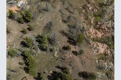 224 Chapparal Trail, Florissant, CO 80816 - Photo 14