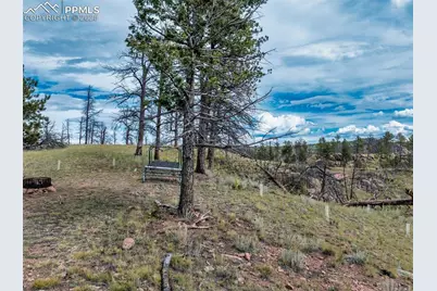 224 Chapparal Trail, Florissant, CO 80816 - Photo 10