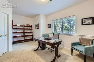 17572 Saddleridge Ct, Monument, CO 80132 - Photo 44