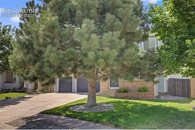 5407 Luster Drive, Colorado Springs, CO 80923 - Photo 4