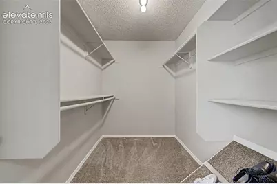 5407 Luster Drive, Colorado Springs, CO 80923 - Photo 38