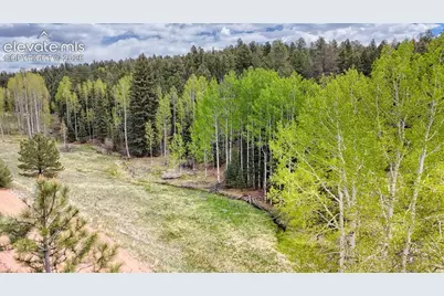 42 Rabbit Circle, Florissant, CO 80816 - Photo 6