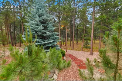 18015 Bankhurst Court, Monument, CO 80132 - Photo 6