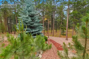 18015 Bankhurst Ct, Monument, CO 80132 - Photo 6