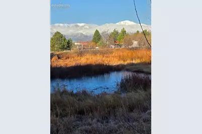 4909 Black Vulture Grove, Colorado Springs, CO 80916 - Photo 38