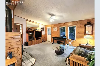 277 Cherokee Drive, Florissant, CO 80816 - Photo 10