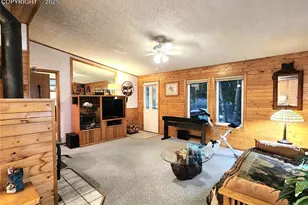 277 Cherokee Dr, Florissant, CO 80816 - Photo 10