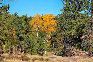 277 Cherokee Dr, Florissant, CO 80816 - Photo 44