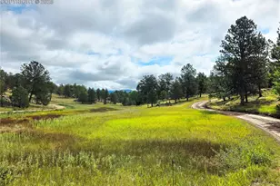 277 Cherokee Dr, Florissant, CO 80816 - Photo 4