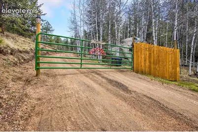 715 W Bison Creek Trail, Florissant, CO 80816 - Photo 36