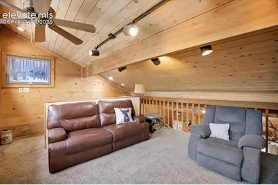 715 W Bison Creek Trail, Florissant, CO 80816 - Photo 22